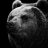 Dark_bear